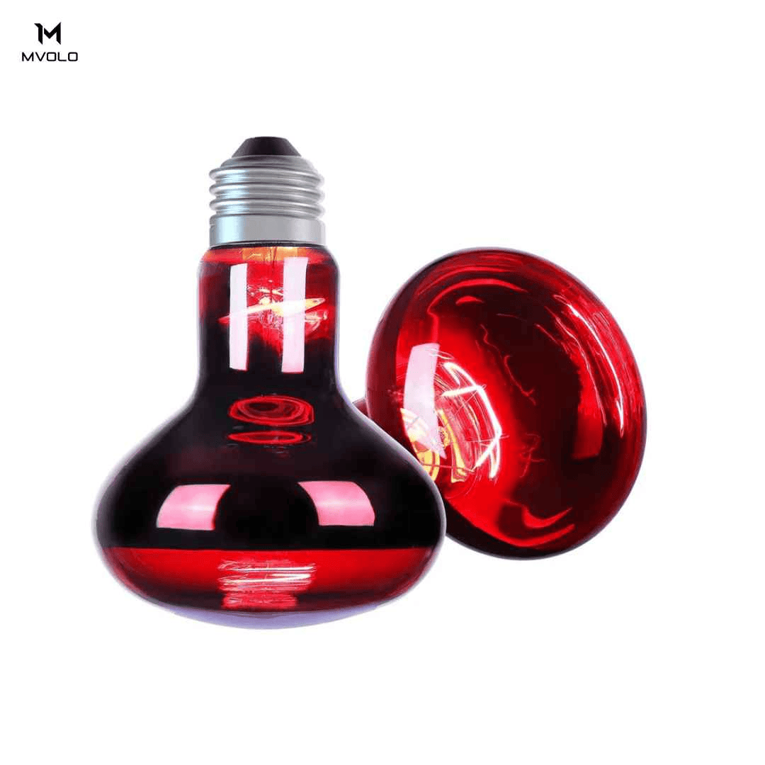 300W Infrared Bulb for Red Light Therapy shown separately, highlighting its design for pain relief and skin rejuvenation.