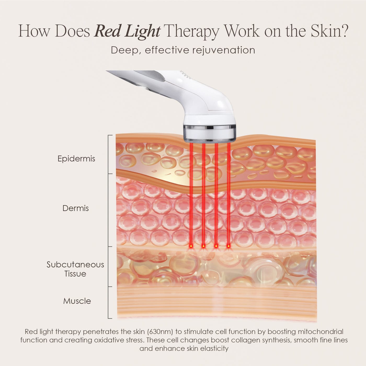 Experience youthful skin with the Red LED+ Anti-Aging Therapy Wand. Enjoy professional results at home with safe, effective red light therapy.