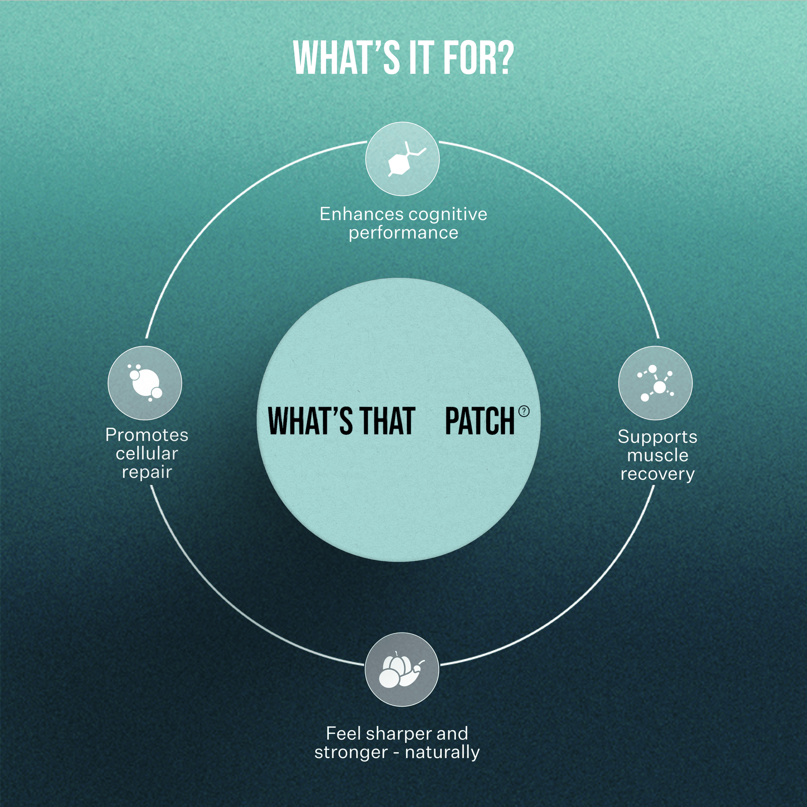 What's That Patch Patch CREATINE PATCHES