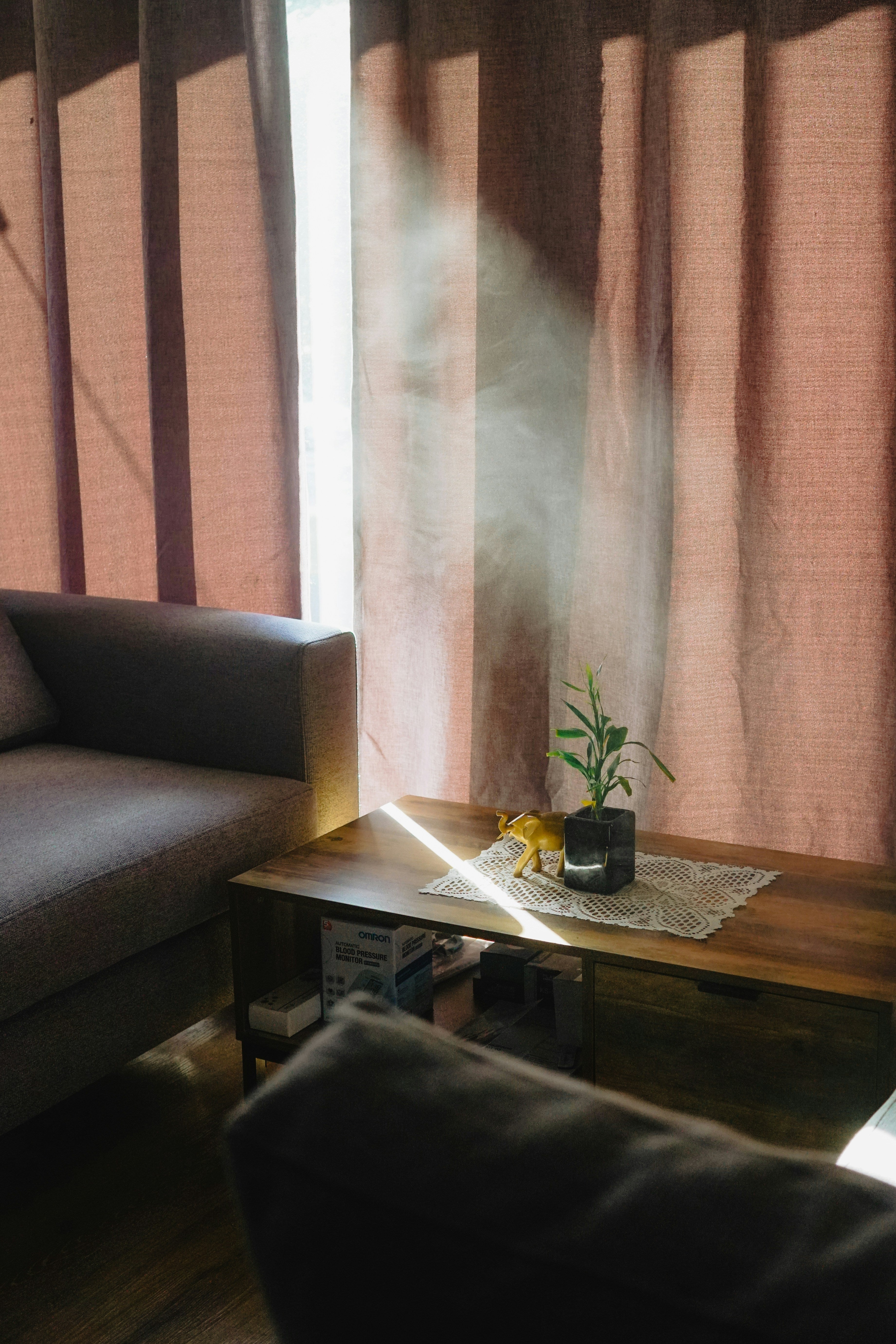 The Invisible Luxury: Clean Air at Home