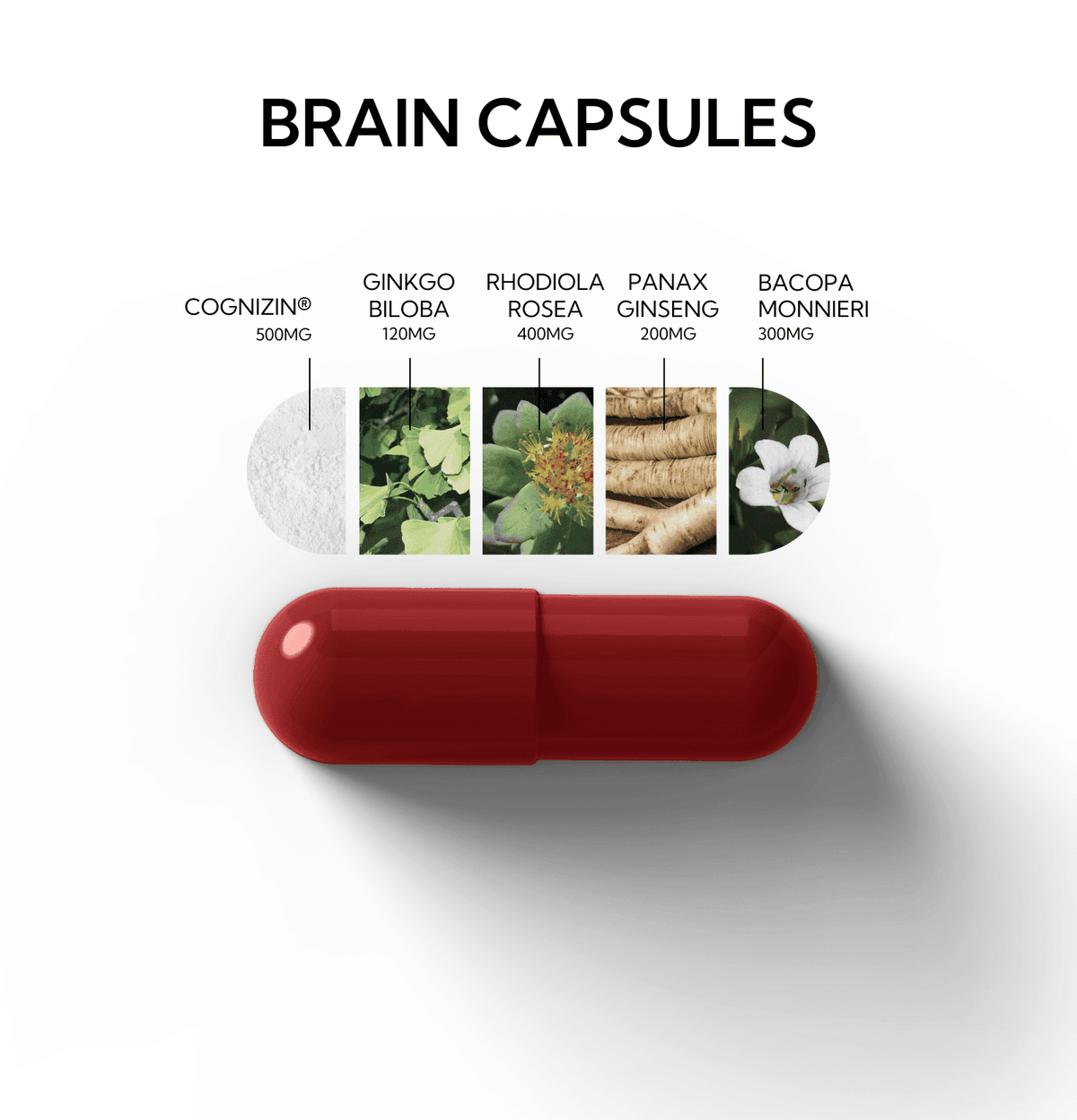 neutonic-web Brain Capsules Brain Capsules