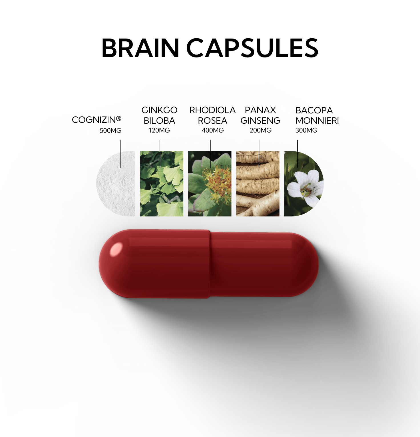 neutonic-web Brain Capsules Brain Capsules