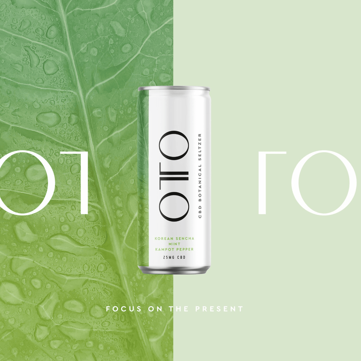 Refresh naturally with Body Green Tea & Garden Mint CBD Seltzer – a calming drink infused with CBD for balance, focus, and stress relief. Shop ReverieLuxe!