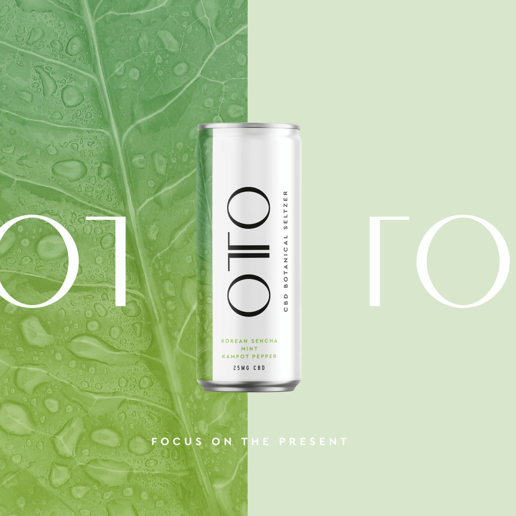 Refresh naturally with Body Green Tea & Garden Mint CBD Seltzer – a calming drink infused with CBD for balance, focus, and stress relief. Shop ReverieLuxe!