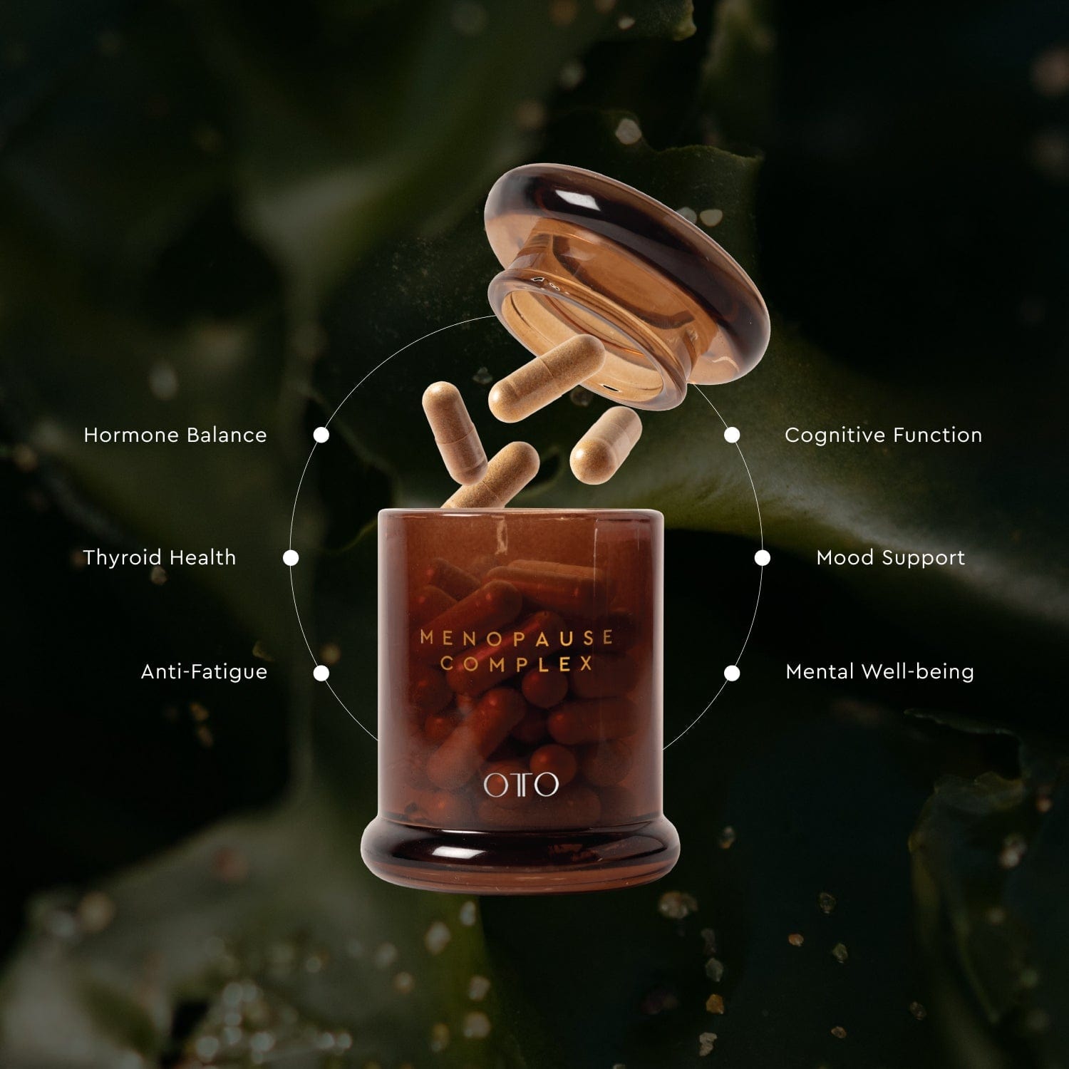 Menopause Complex is a hormone-free menopause support supplement with vitamins and minerals to reduce fatigue, support bone health, and balance mood.