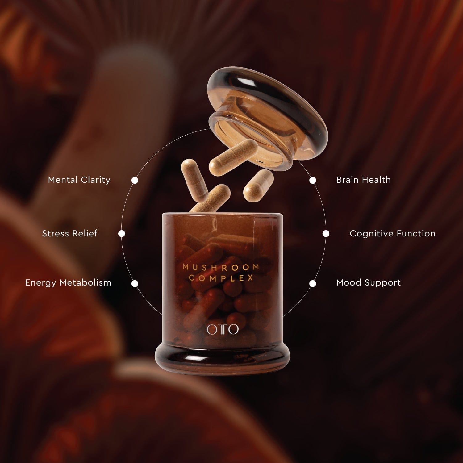 Reverie Luxe Body Mushroom Complex – natural supplement with reishi, chaga & lion’s mane to support immunity, energy & focus. Balance your body naturally.