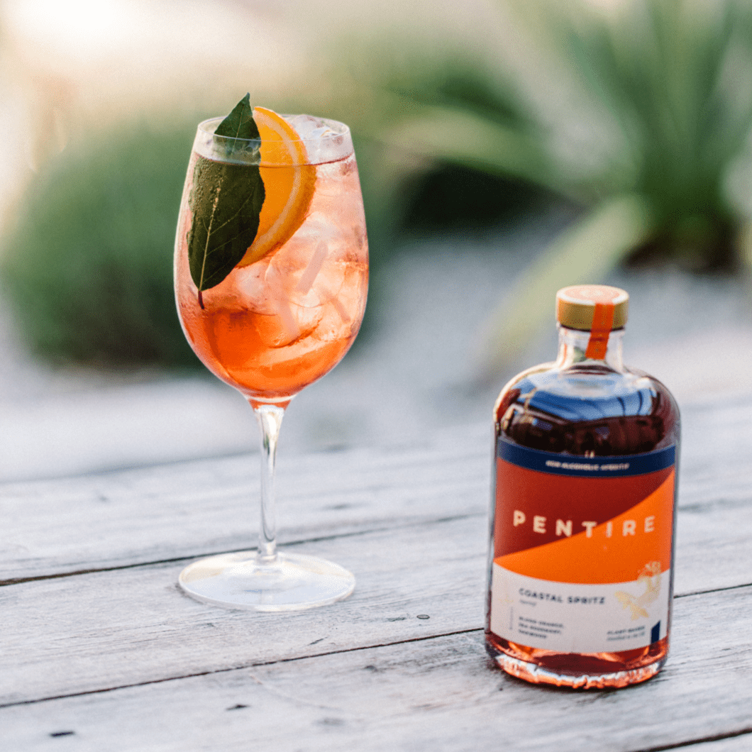 Experience Pentire Coastal Aperitif with sea rosemary and blood orange. Botanical elegance, guilt-free indulgence, discover coastal sophistication.