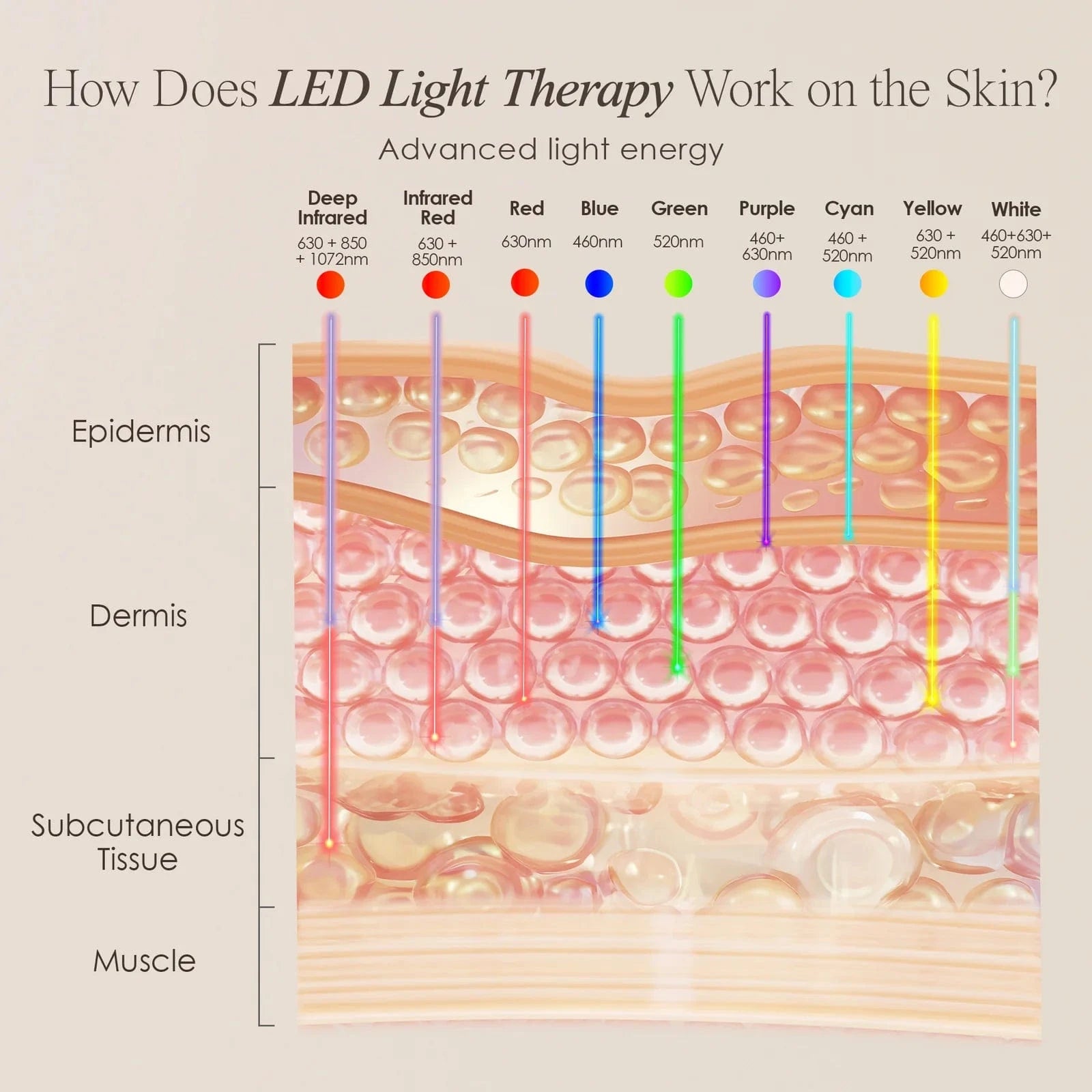 Achieve youthful, radiant skin with LumaLux Face+ LED Light Therapy Face & Neck Mask. Targets acne, wrinkles & dullness with 7 light modes. Shop now in UK.