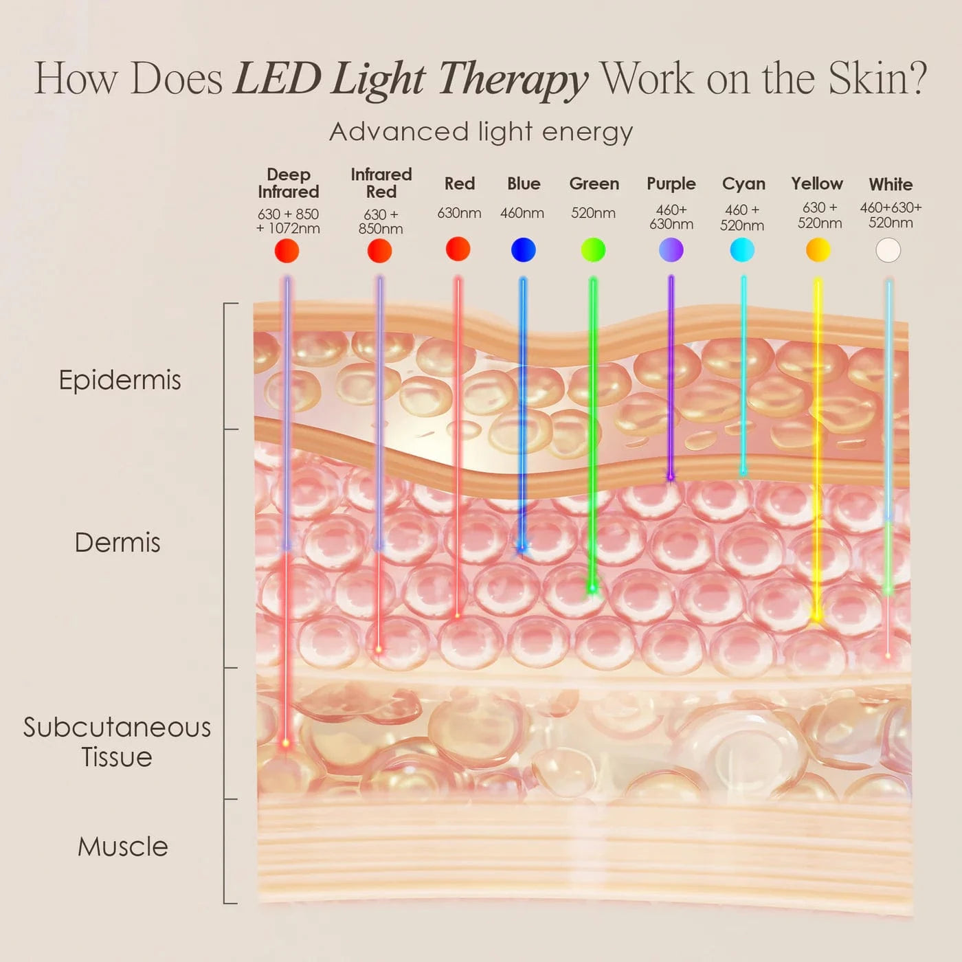 Shop LumaLux Face Pro LED Light Therapy Mask for anti-aging & acne care. Boost collagen, clear skin & glow naturally. Free UK shipping. Order now!