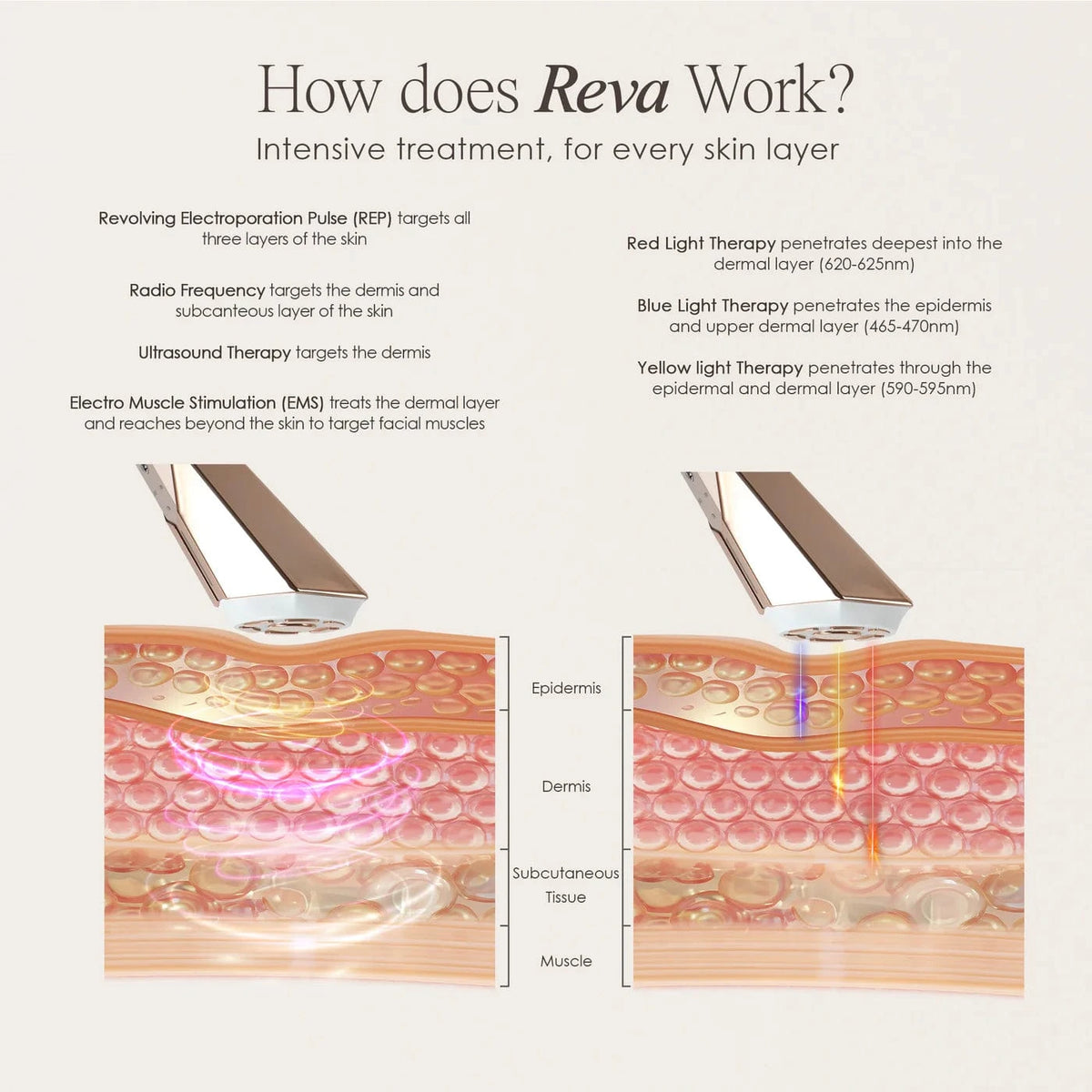 "Reduce wrinkles, firm skin & restore radiance with REVA Instant Age Renewal Wand. Portable anti-aging skincare tool delivering visible results at home."