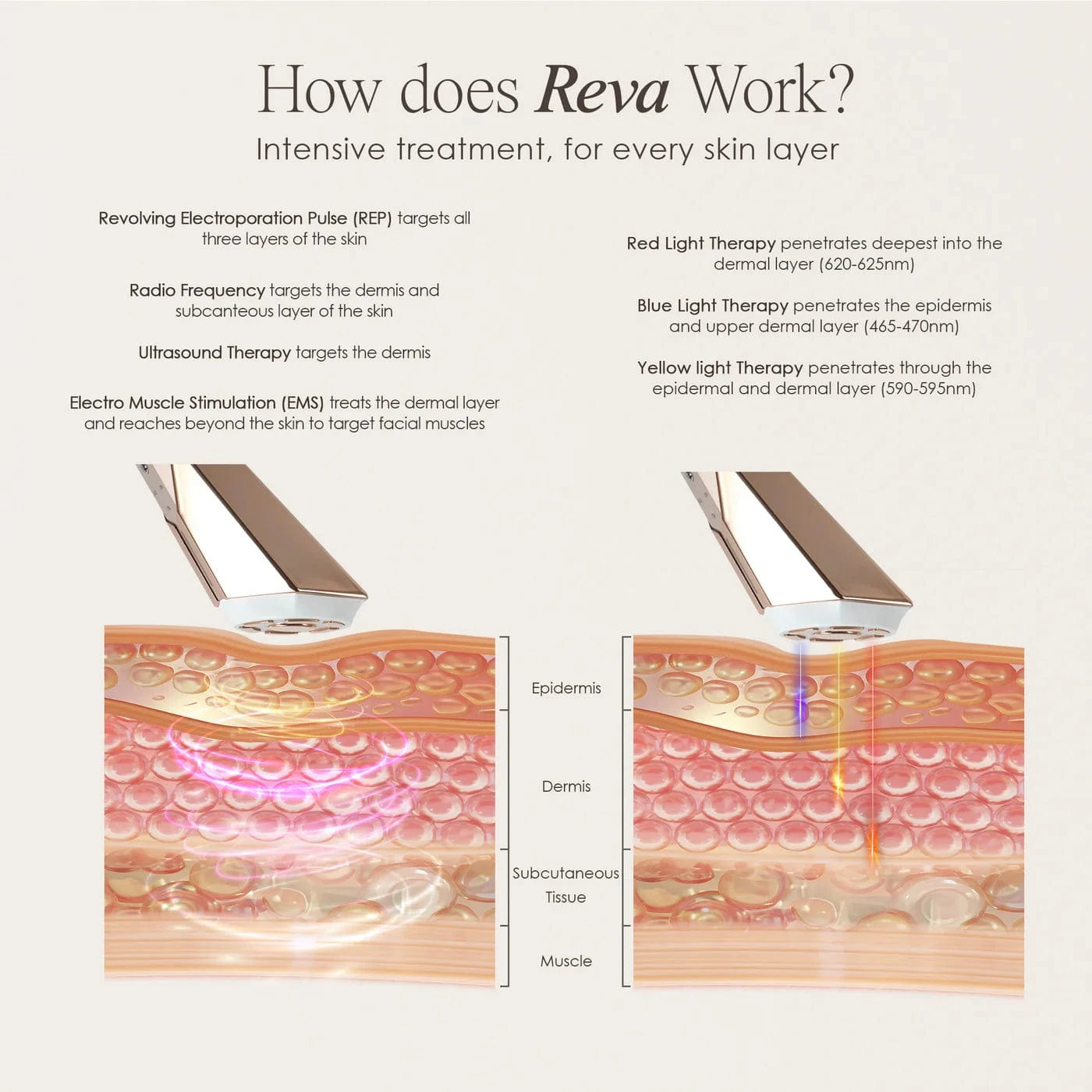 "Reduce wrinkles, firm skin & restore radiance with REVA Instant Age Renewal Wand. Portable anti-aging skincare tool delivering visible results at home."