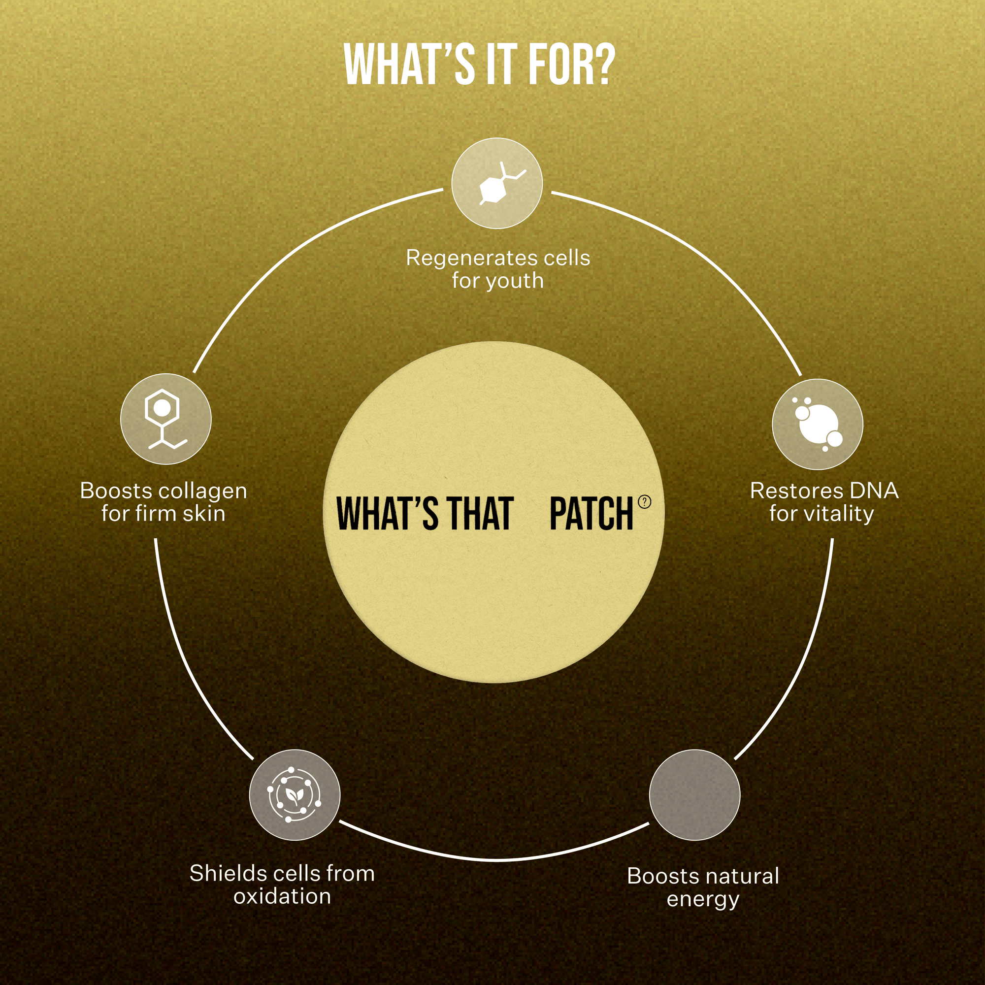 What's That Patch Patch NAD+ LONGEVITY PATCHES