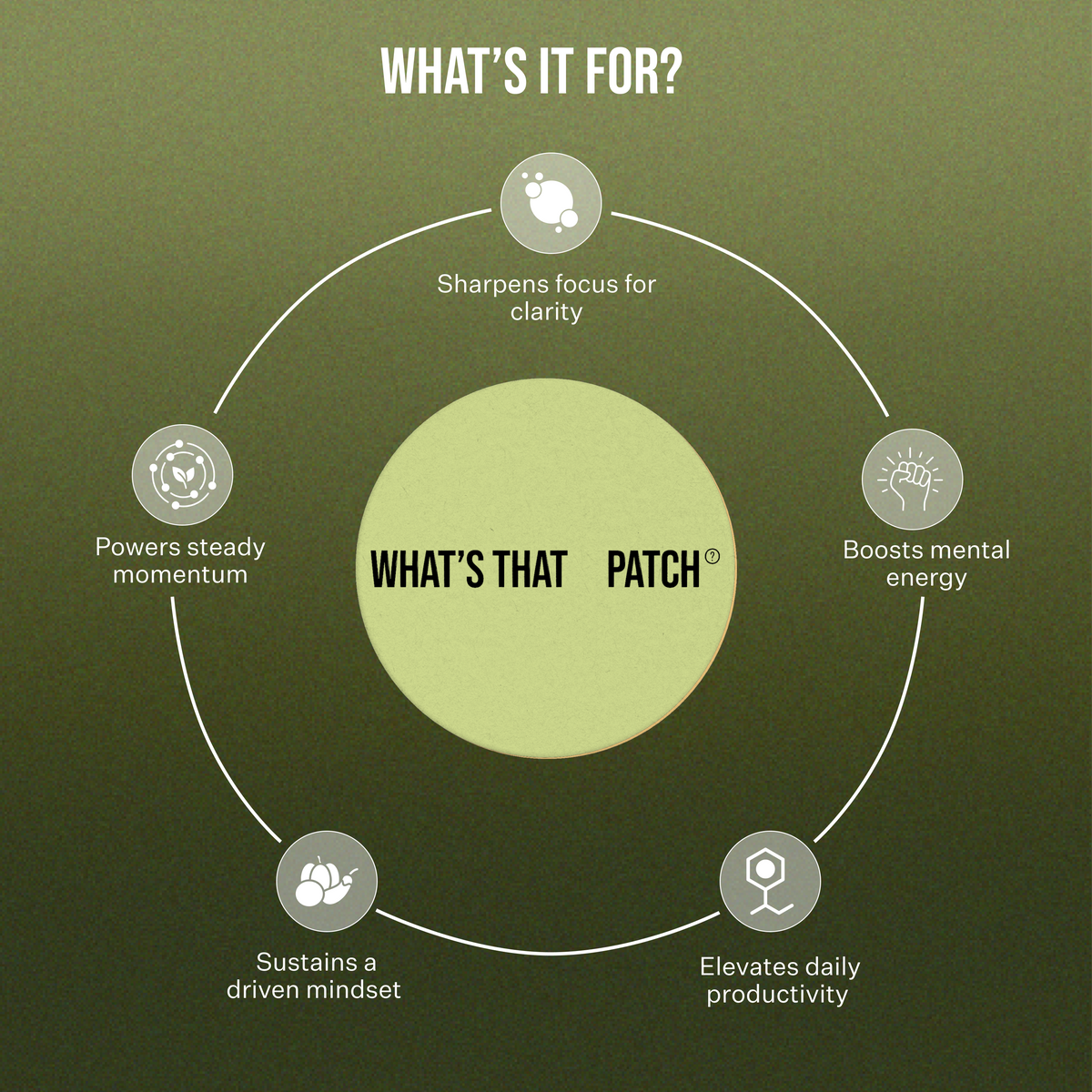 What's That Patch Patch PRODUCTIVITY PATCHES