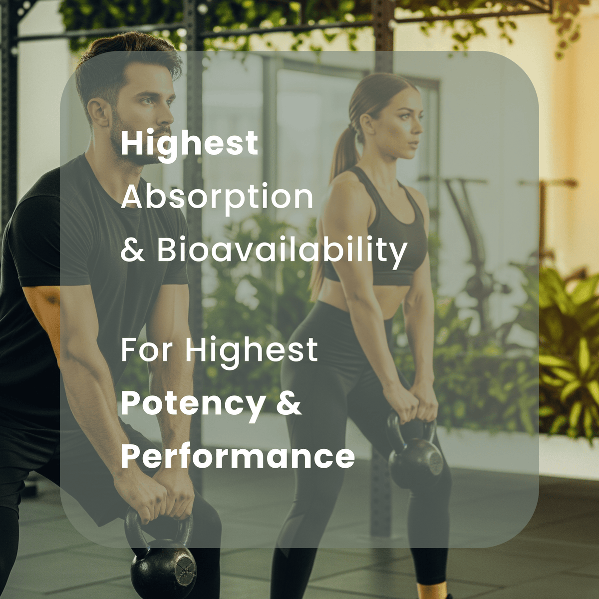 Explore the benefits of Himalayan Shilajit Resin for energy, combating fatigue, and mental clarity. Experience holistic rejuvenation naturally.