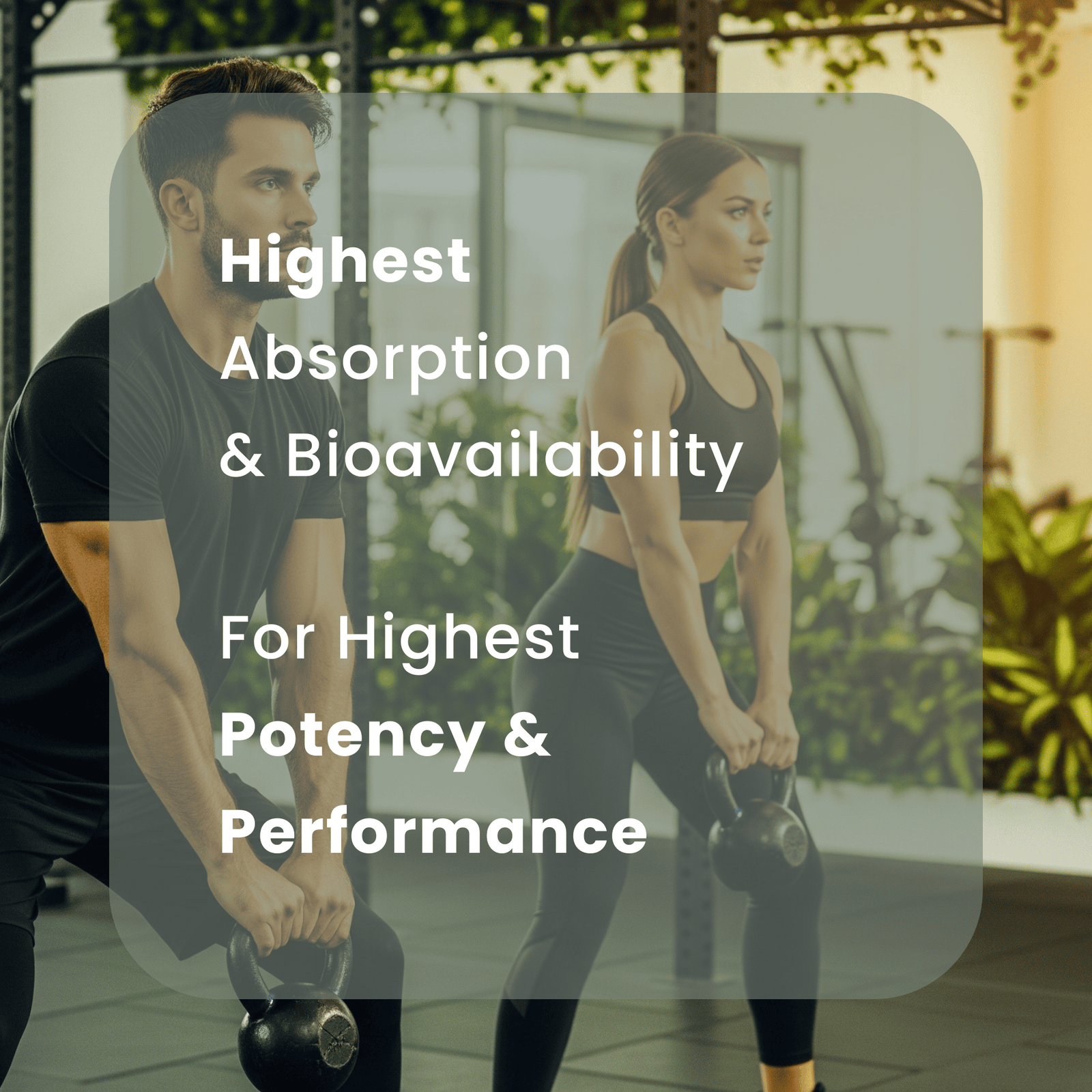 Explore the benefits of Himalayan Shilajit Resin for energy, combating fatigue, and mental clarity. Experience holistic rejuvenation naturally.